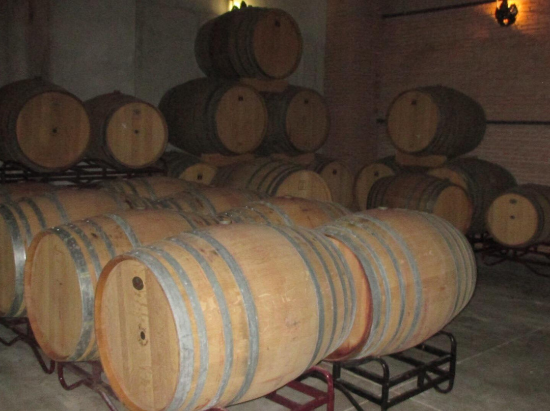Bodega Monastrell-Bullas必去景点