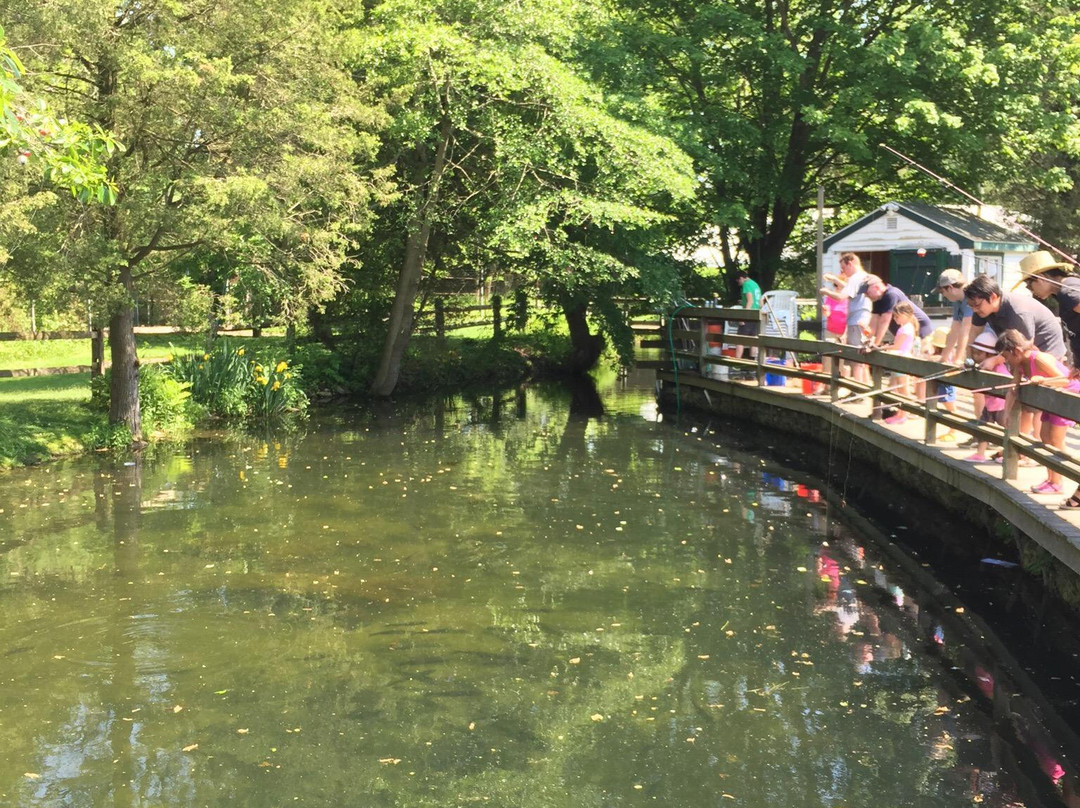 Cold Spring Harbor Fish Hatchery & Aquarium-Cold Spring Harbor必去景点