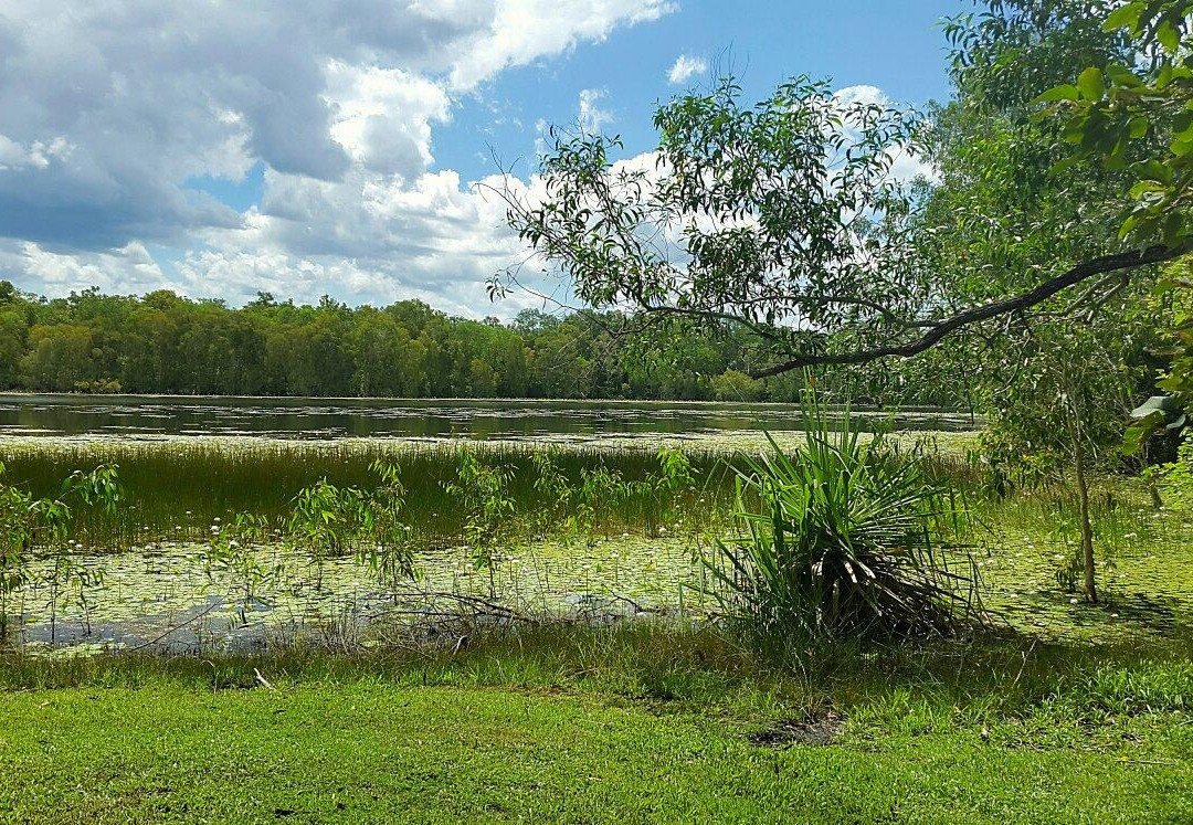 Manton Dam-达尔文市必去景点