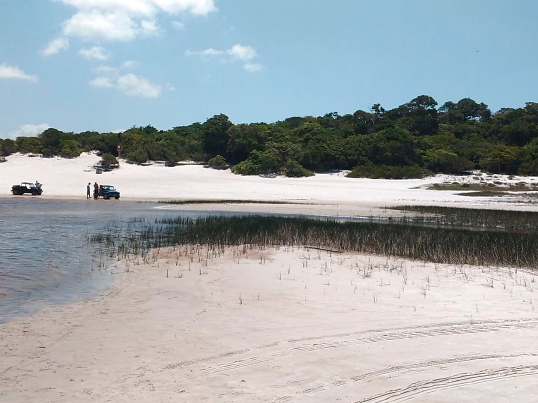 Reserva Particular do Patrimônio Natural Mata da Estrela景点图片