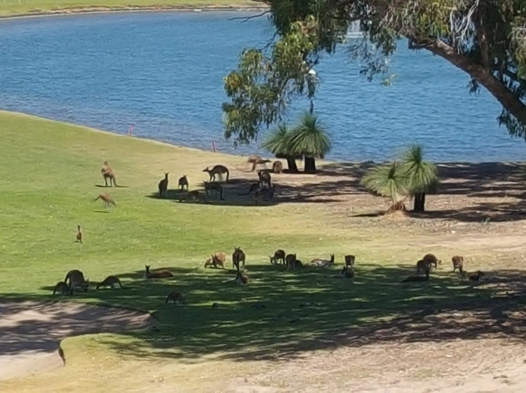 Yanchep Golf Club景点图片
