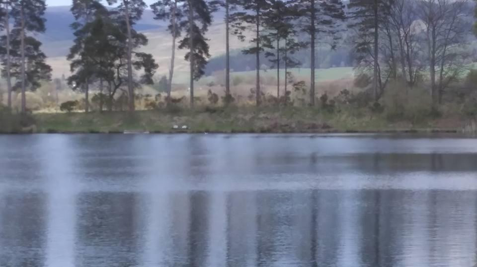 Moffat Community Nature Reserve-Moffat必去景点