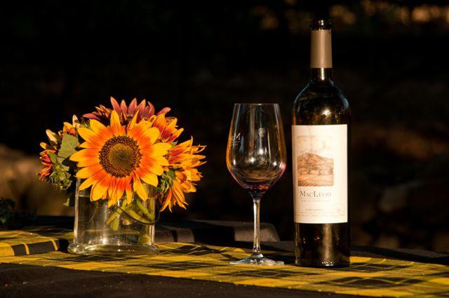 MacLeod Family Vineyard景点图片