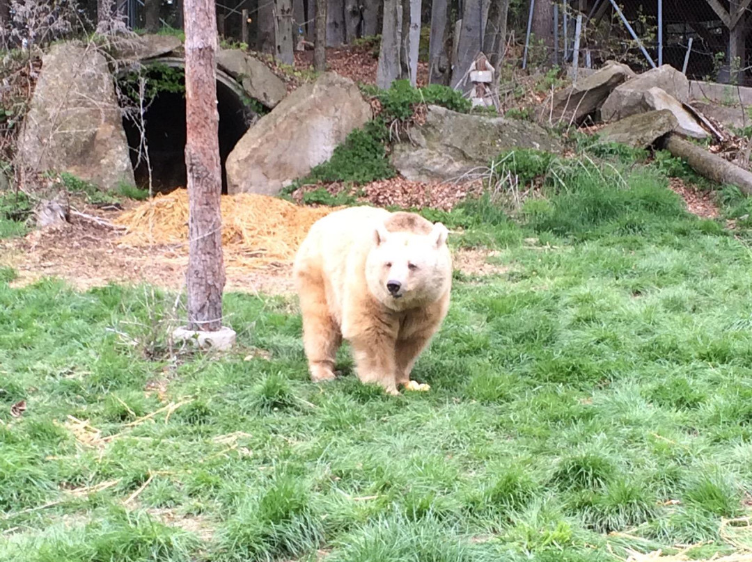 Barenwald Arbesbach-Arbesbach必去景点