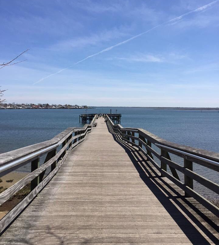 Norman J. Levy Park & Preserve景点图片