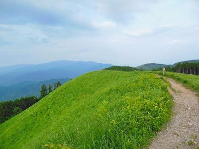 Iwawakidera Temple-河内长野市必去景点