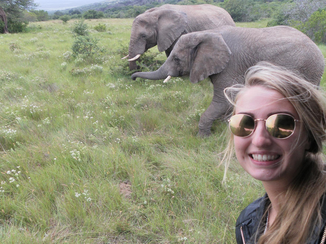 G-Route Adventure Tours and Safaris-开普敦必去景点