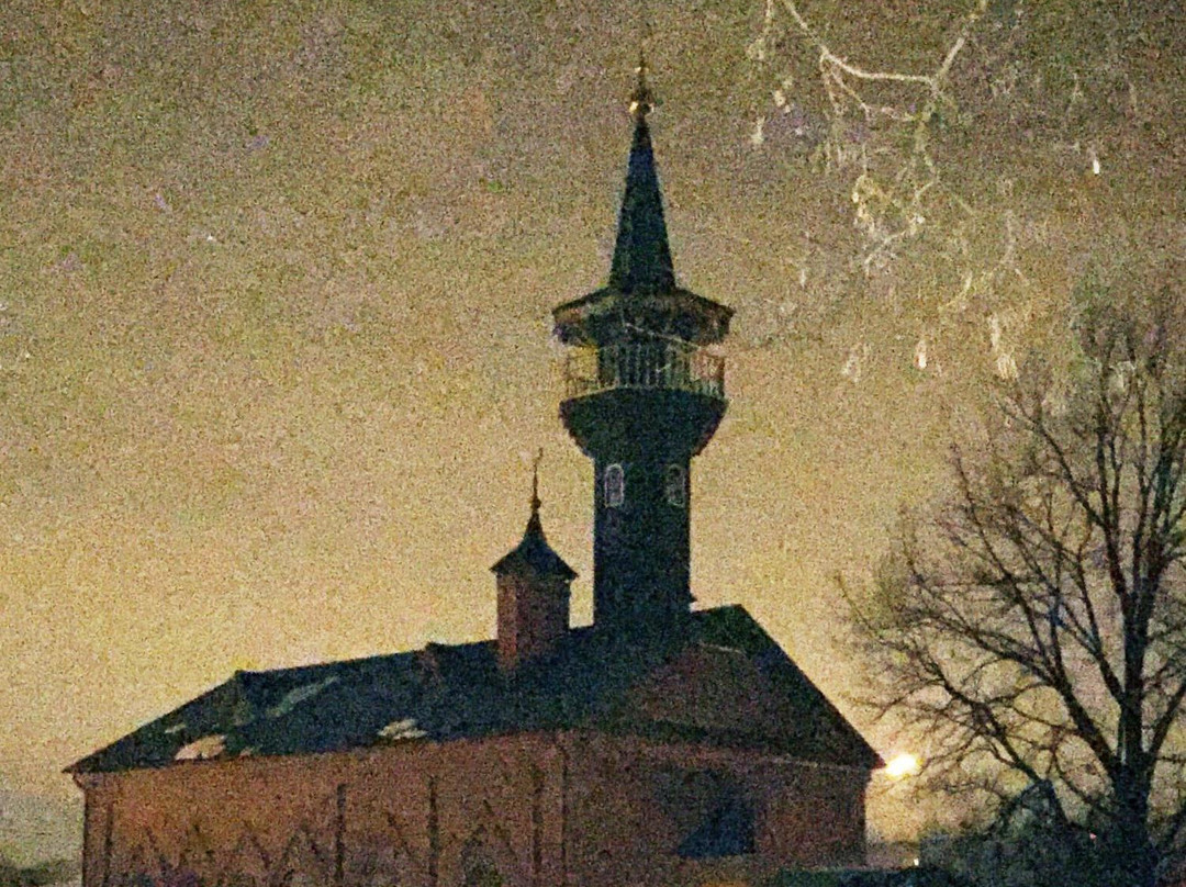Imam Ravil Mosque-Shchyolkovo必去景点