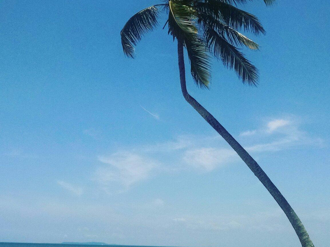Ponta do Garcez Beach-Valenca必去景点