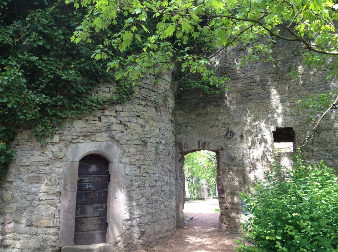 Castle Kurmainzisches景点图片