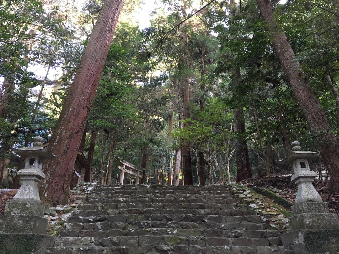 Wakamiya Hachimansha-佐伯市必去景点