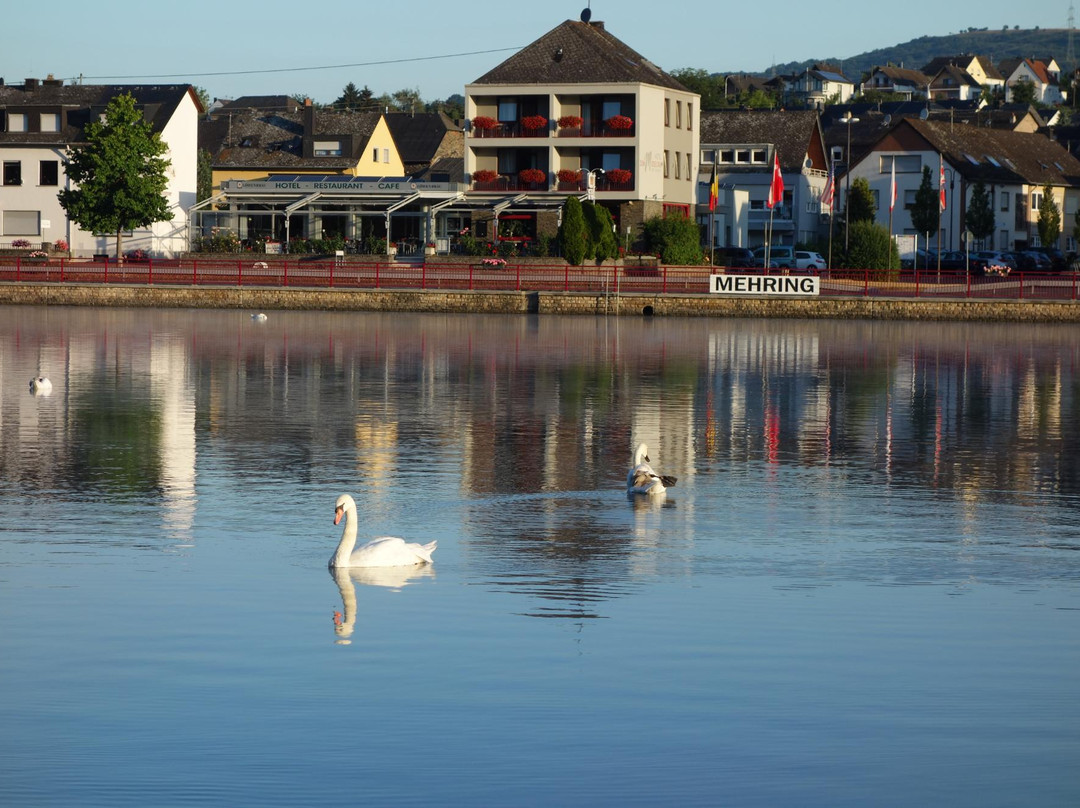 Hotel Zum Fahrturm主图