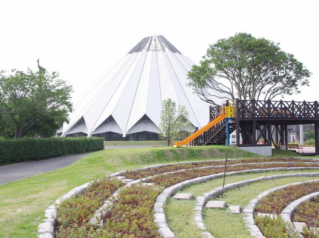 Izumi City Crane Museum, Crane Park Izumi-出水市必去景点