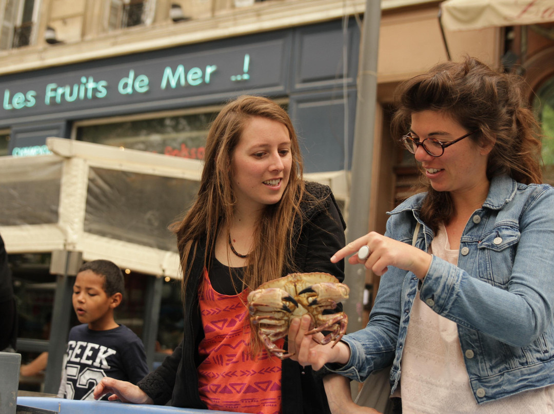 ToctocMarseille - Day Tours-马赛必去景点