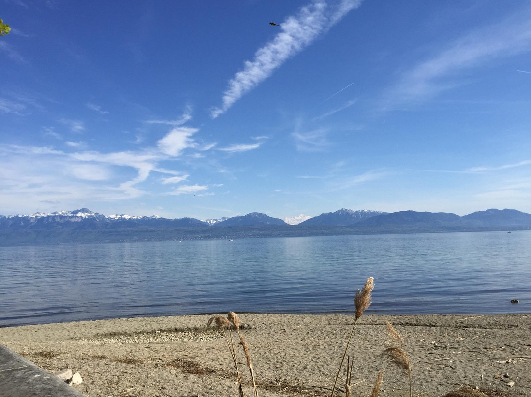 Plage de Morges-莫尔日必去景点