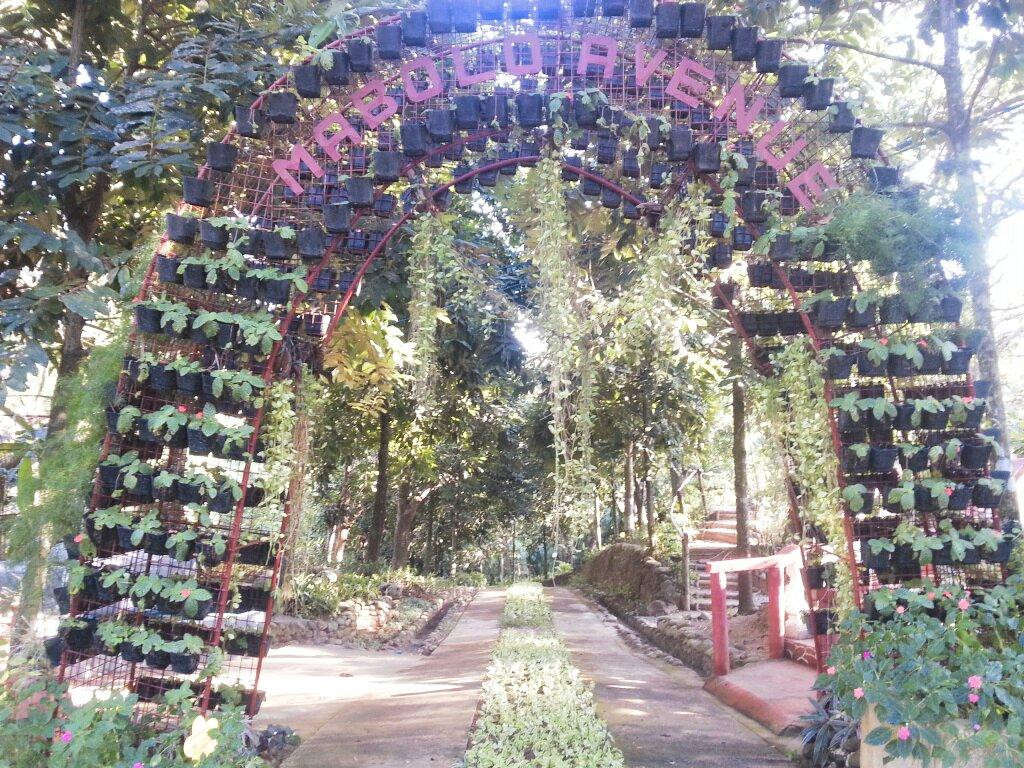 La Union Botanical Garden景点图片