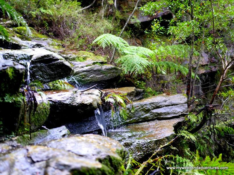 Highlands Adventure Co-Bundanoon必去景点
