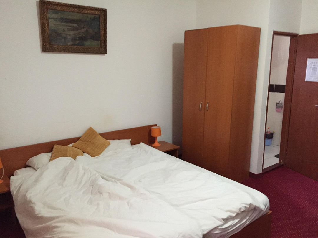 Hotel Panoramic Moneasa