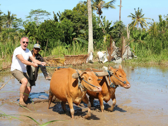 Undisan Eco Tradi Experience-Tembuku必去景点
