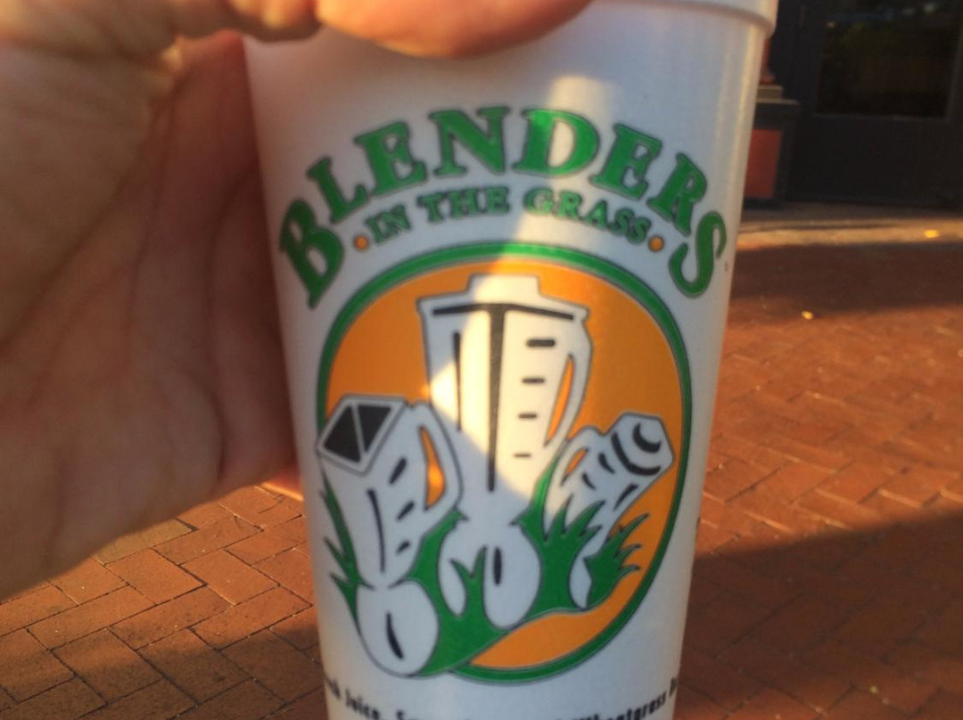Blenders In The Grass