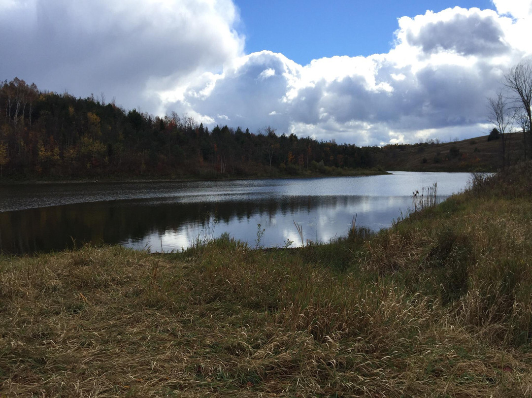 Forks of the Credit Scenic Road-卡利登必去景点