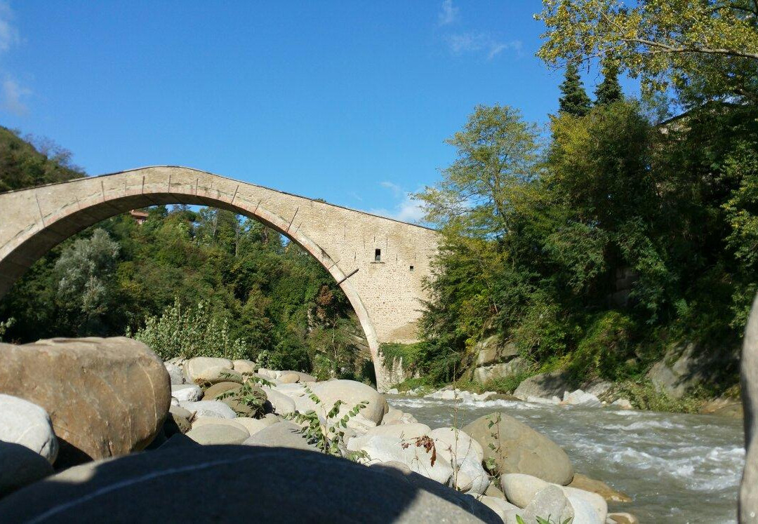 Ponte Alidosi (ponte rinascimentale a Schiena d'Asino)景点图片