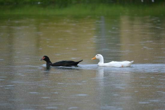 Lago do Vovô-Formosa必去景点