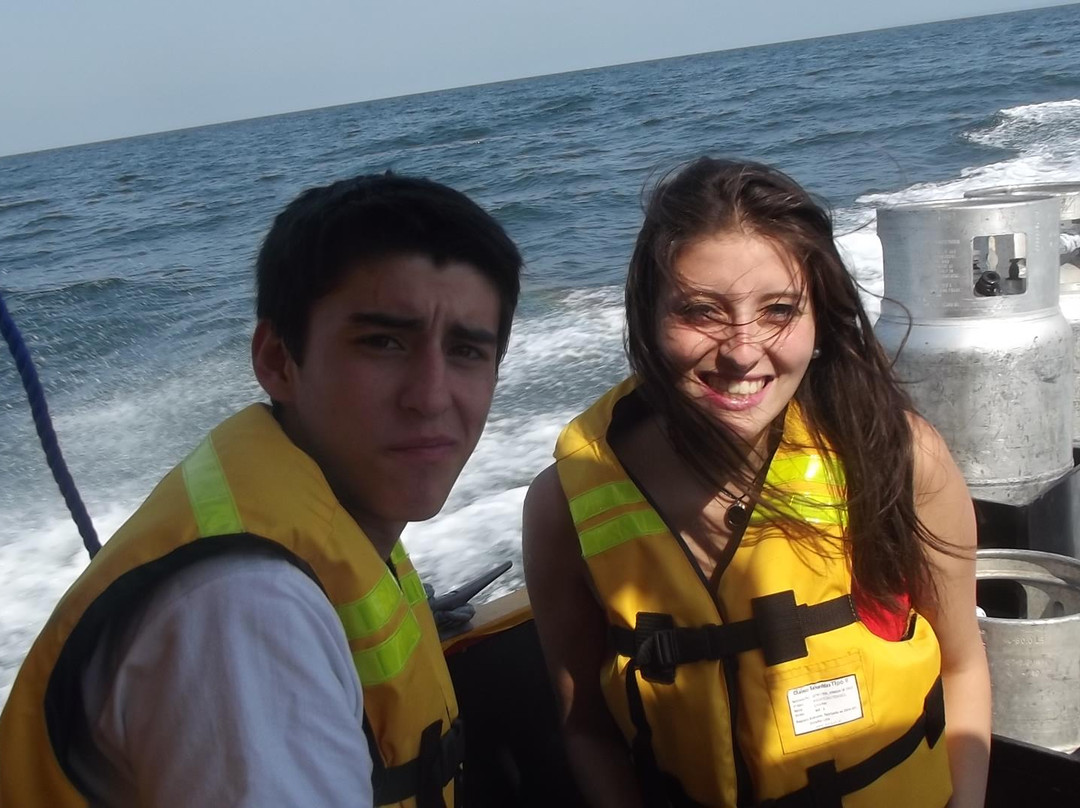 Taximar Puerto Montt-蒙特港必去景点