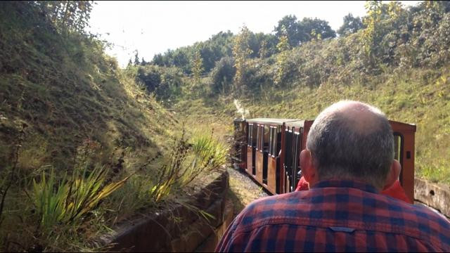 South Downs Light Railway景点图片