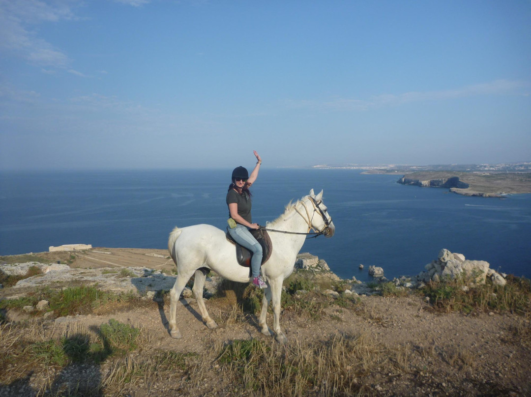Gozo Stables Horse-Riding景点图片