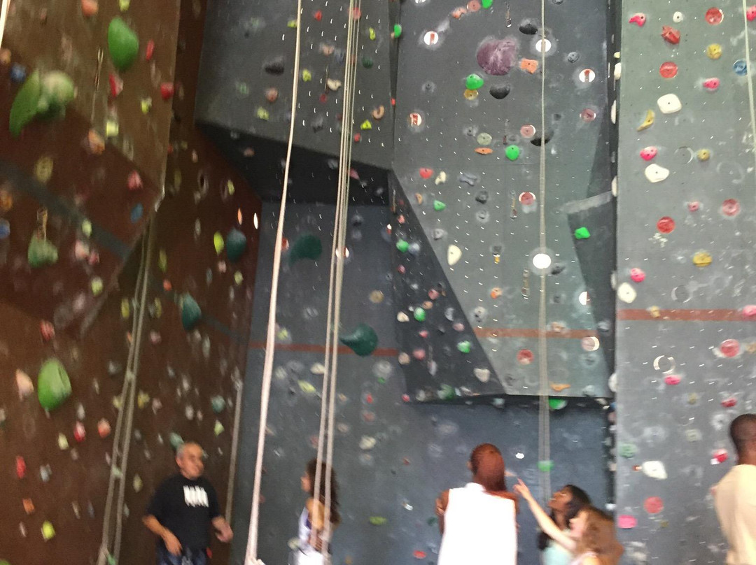 Wonderwall Climbing Gym景点图片