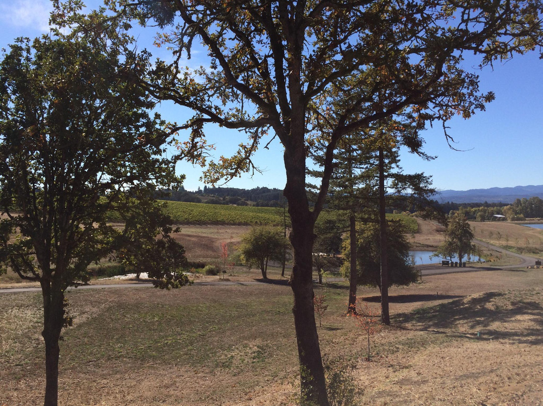 Solena Estate-Yamhill必去景点