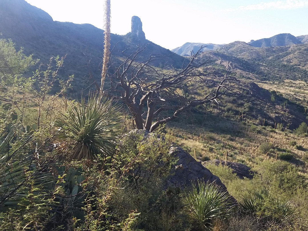 Soledad Canyon Day Use Area-拉斯克鲁塞斯必去景点