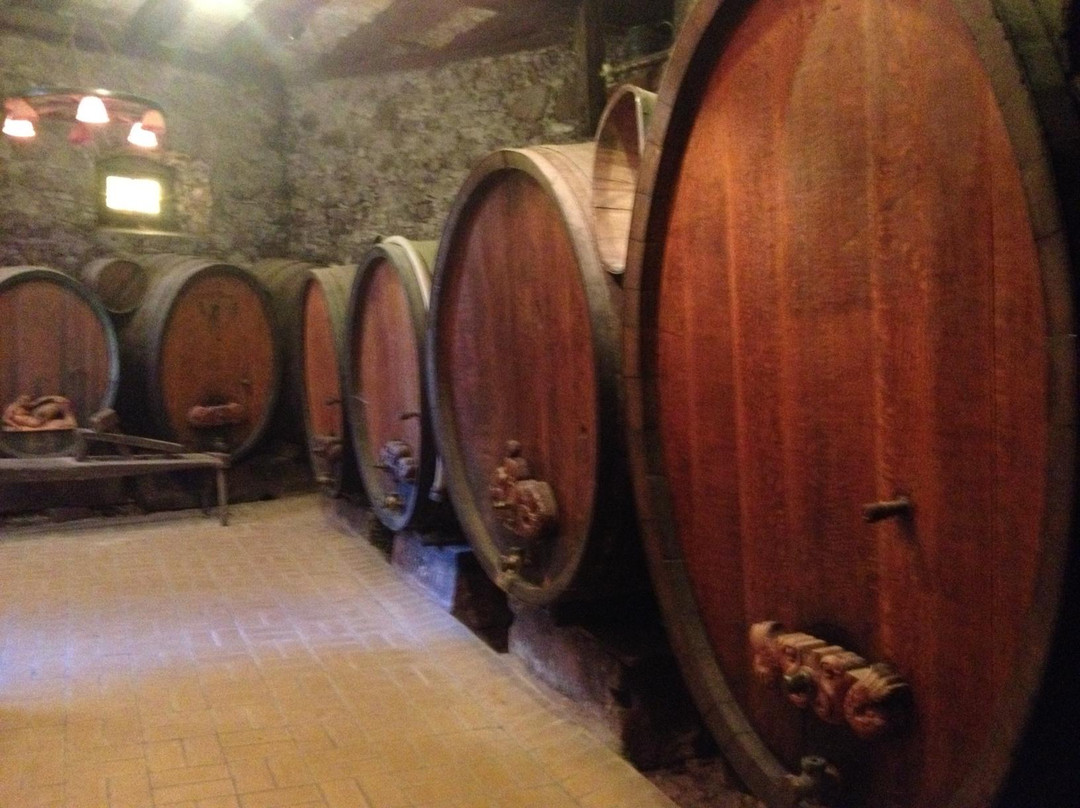Domaine Paul Blanck景点图片