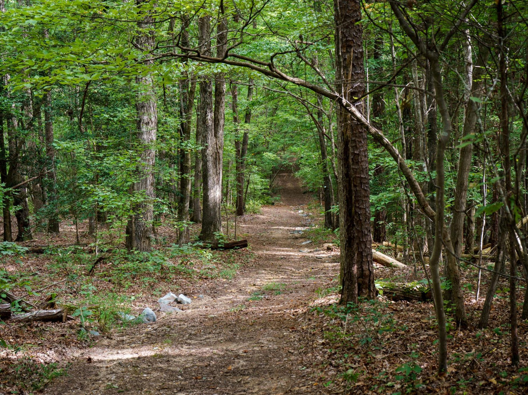 White Pines Nature Preserve景点图片