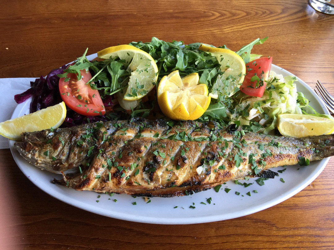 Elif Turkish Barbecue Restaurant