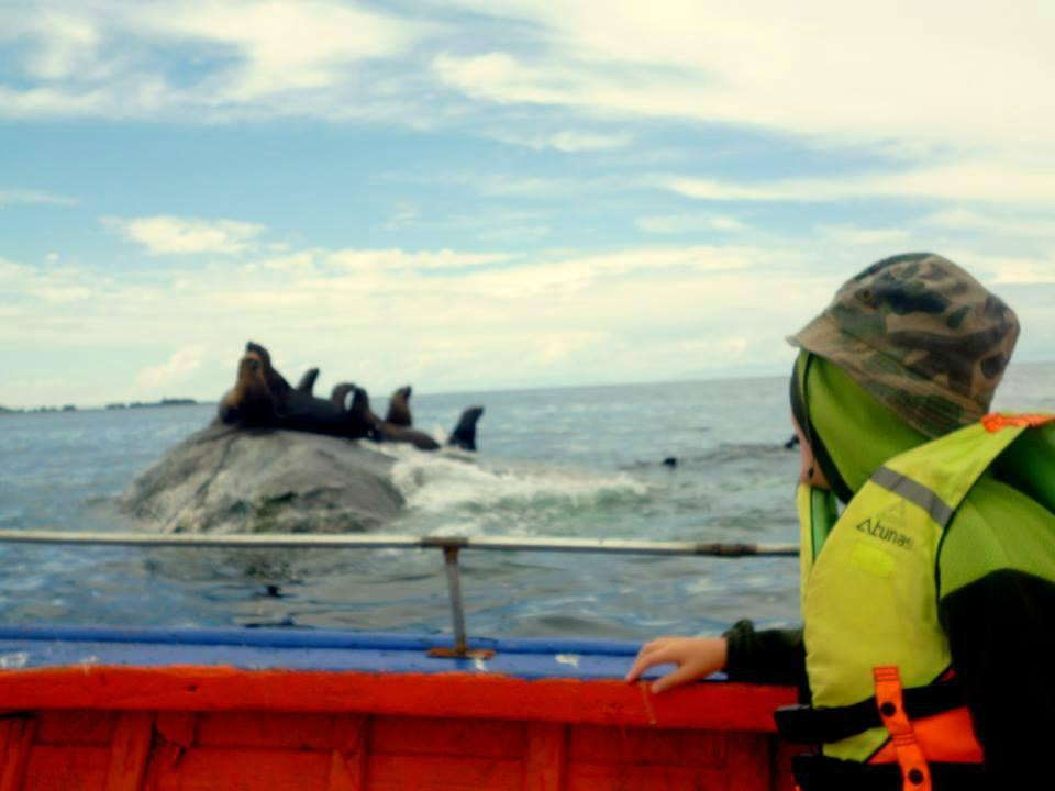 Turismo Alumko-Ancud必去景点