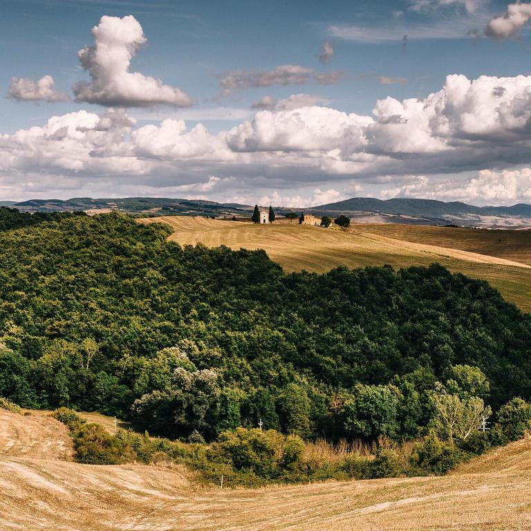 Agriturismo Poderino-客卧