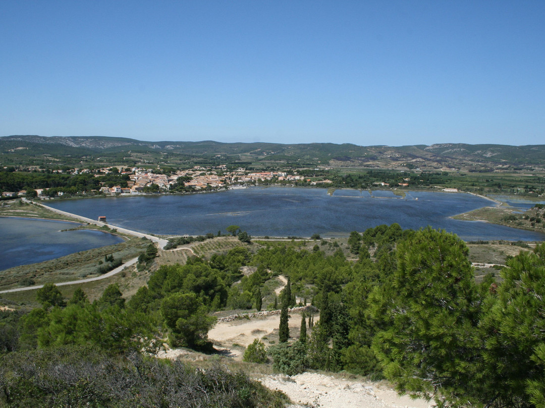 Etang Du Doul-Peyriac-de-Mer必去景点