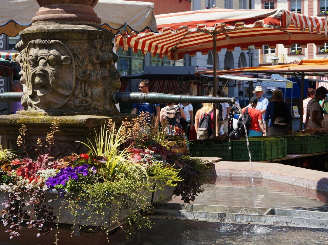 Offenburger Wochenmarkt-奥芬堡必去景点