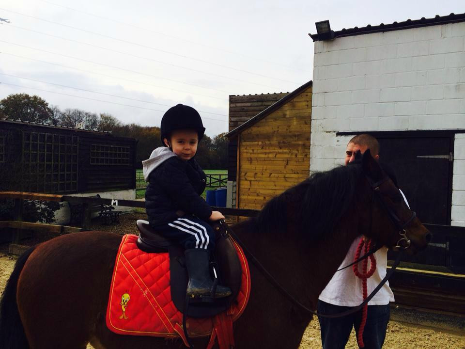 Little Abbots Farm Riding School景点图片
