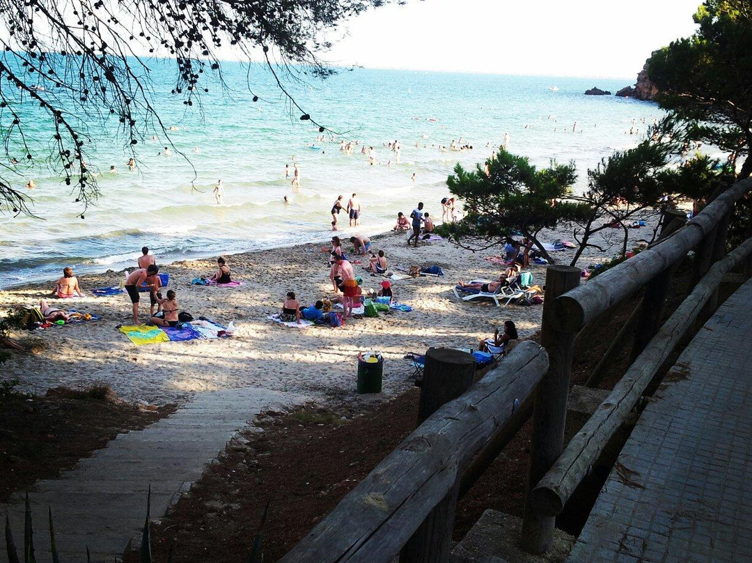 Playa Cap Roig-L'Ampolla必去景点