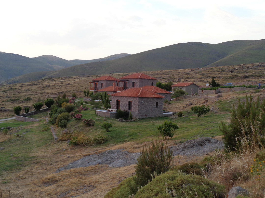 Meltemi Studios