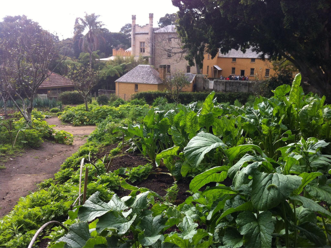 法克鲁斯宅邸-Vaucluse必去景点