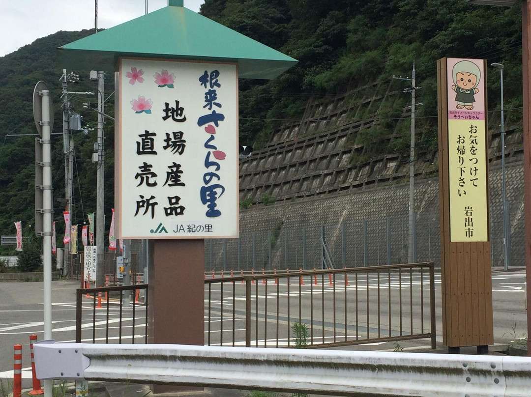 Michi no Eki Negoro Sakuranosato-岩出市必去景点
