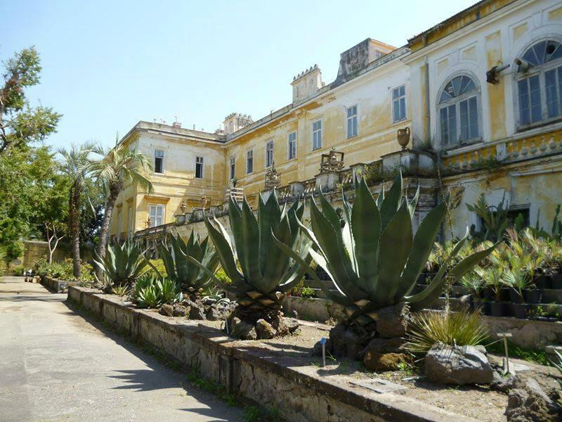 Orto Botanico della Facolta di Agraria景点图片