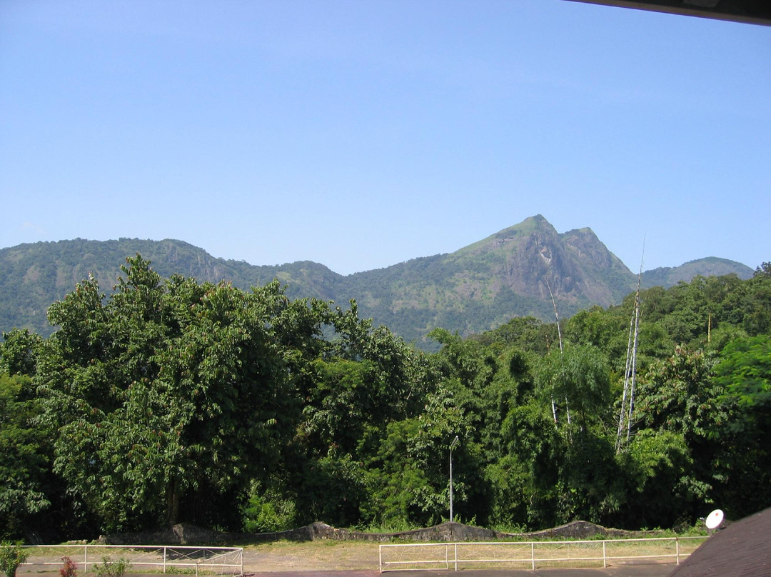 Parambikulam Tiger Reserve-Palakkad必去景点