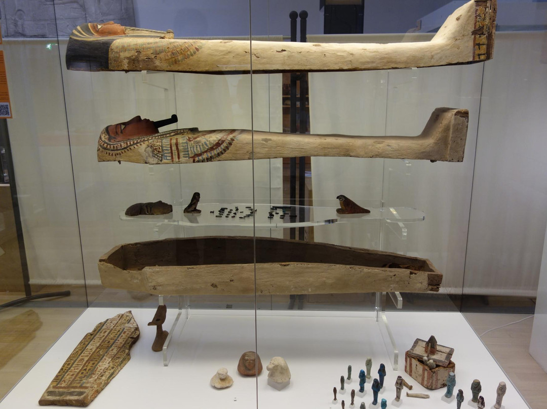 Bonn Egyptian Museum-波恩必去景点