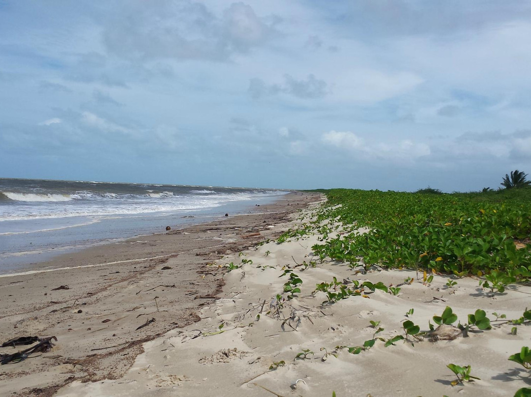Belmonte Beach景点图片