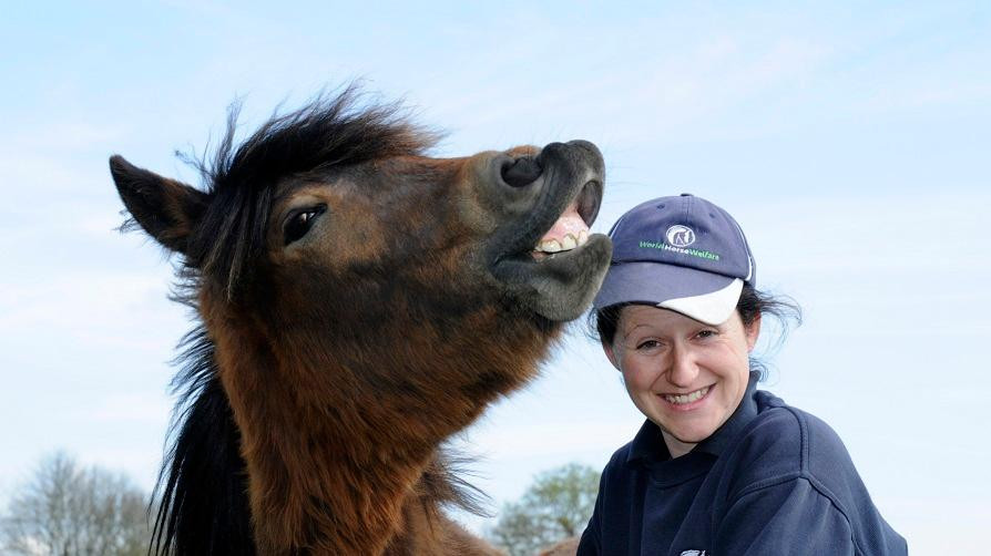 World Horse Welfare Hall Farm景点图片